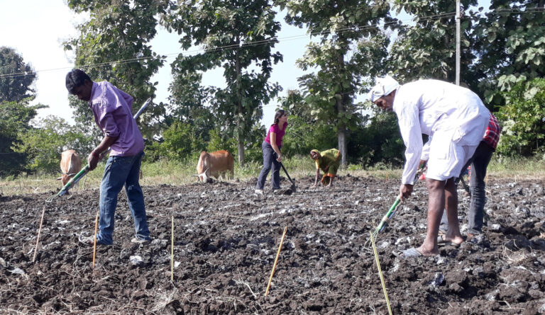 20171112_101625-sorghum-sowing-Jana-with-Patel-farmer