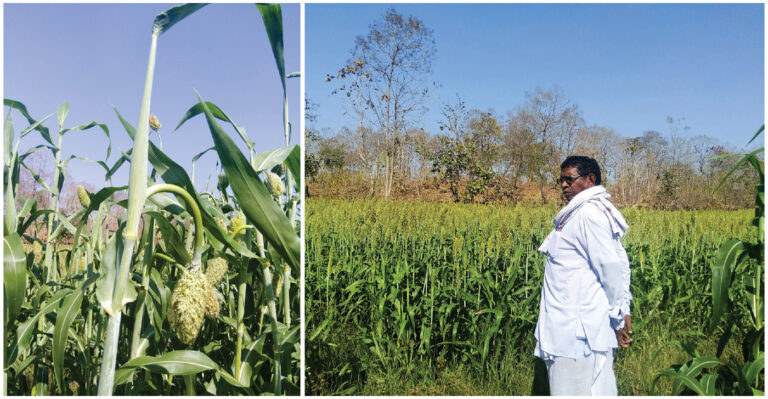 preserving legacy grains